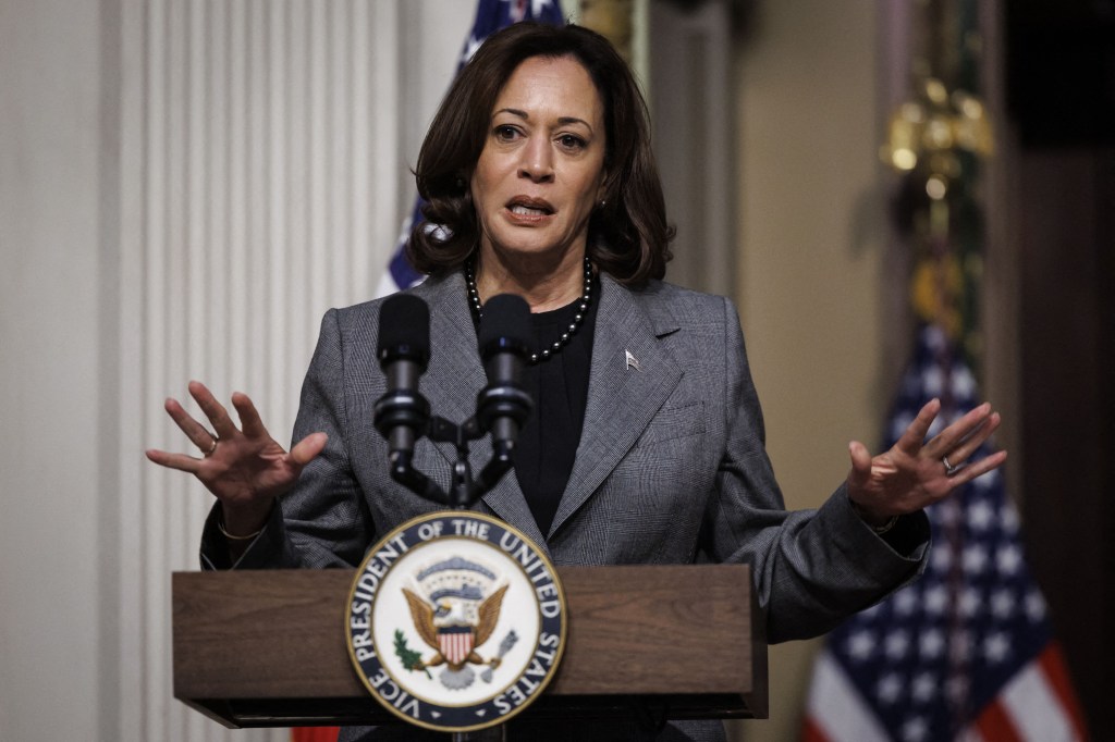 Biden mega-donors balk at contributing to Kamala, suggest she’s too left to beat Trump