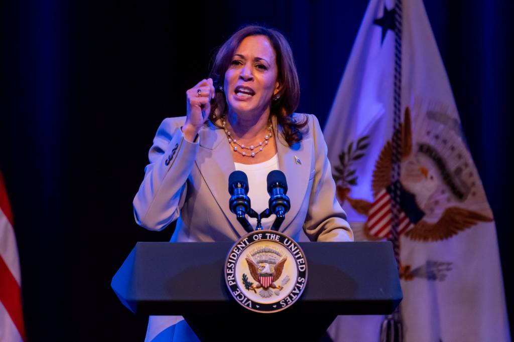 Coronation or open convention?Democrats have days to decide on electing Kamala Harris via virtual roll call