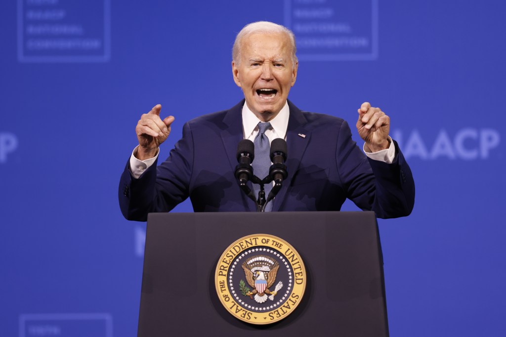 DNC delegates actively discussing Biden stepping down in leaked chats: ‘Painful experience’