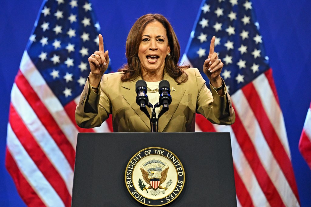 FEC chair predicts legal challenges if Kamala Harris tries to access Biden’s war chest: ‘It’s really complicated’