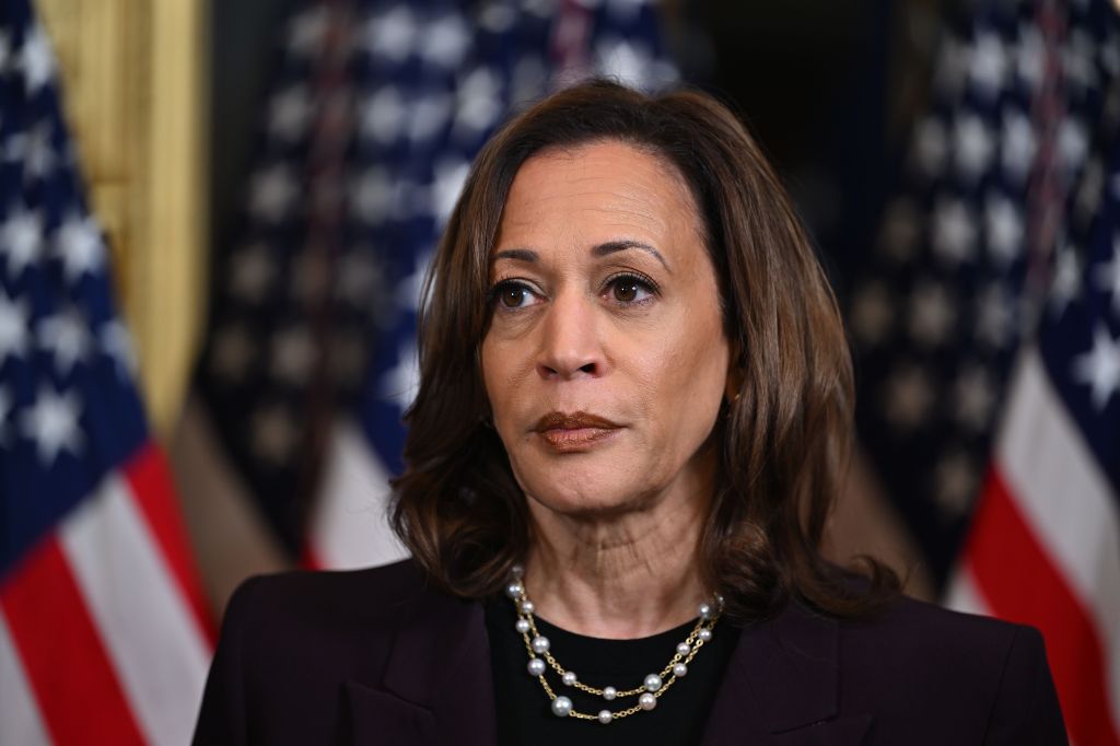 Veteran political strategist reveals Kamala Harris’ sole path to victory