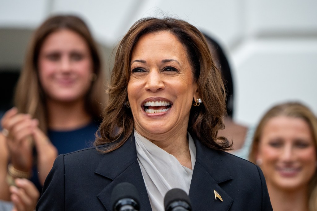 Dem elites accused of ‘steamrolling democracy’ to oust Biden, anoint Kamala Harris: ‘Invalidated the votes’