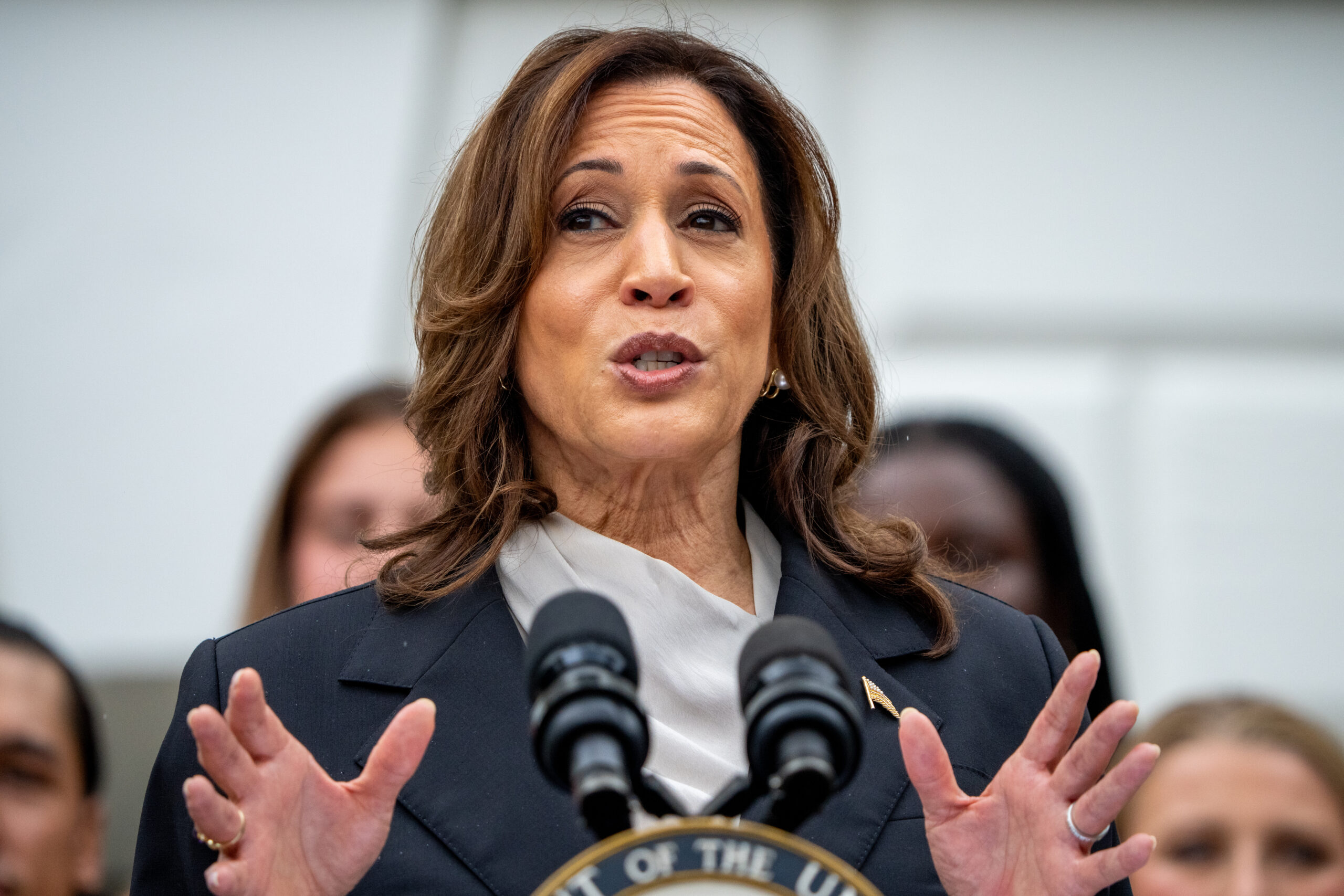 Wall Street billionaires rally around Kamala Harris as Silicon Valley leaders side with Trump