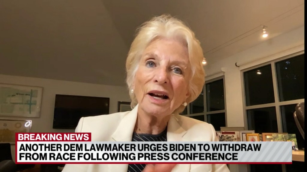 Ex-House Dem bizarrely compares removing Biden from 2024 ticket to overthrow of Egyptian ruler Hosni Mubarak: ‘Easy to knock people off’