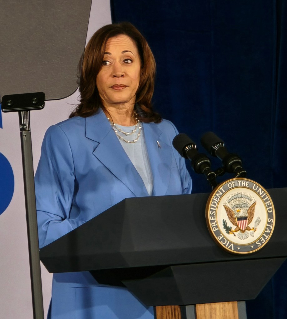 Three in five Democrats want Kamala Harris as the presidential nominee: poll