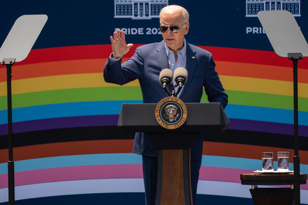 House panel probes if Harris-Biden admin officials ‘inappropriately’ pressured medical experts to nix age-limit guidelines for transgender surgery