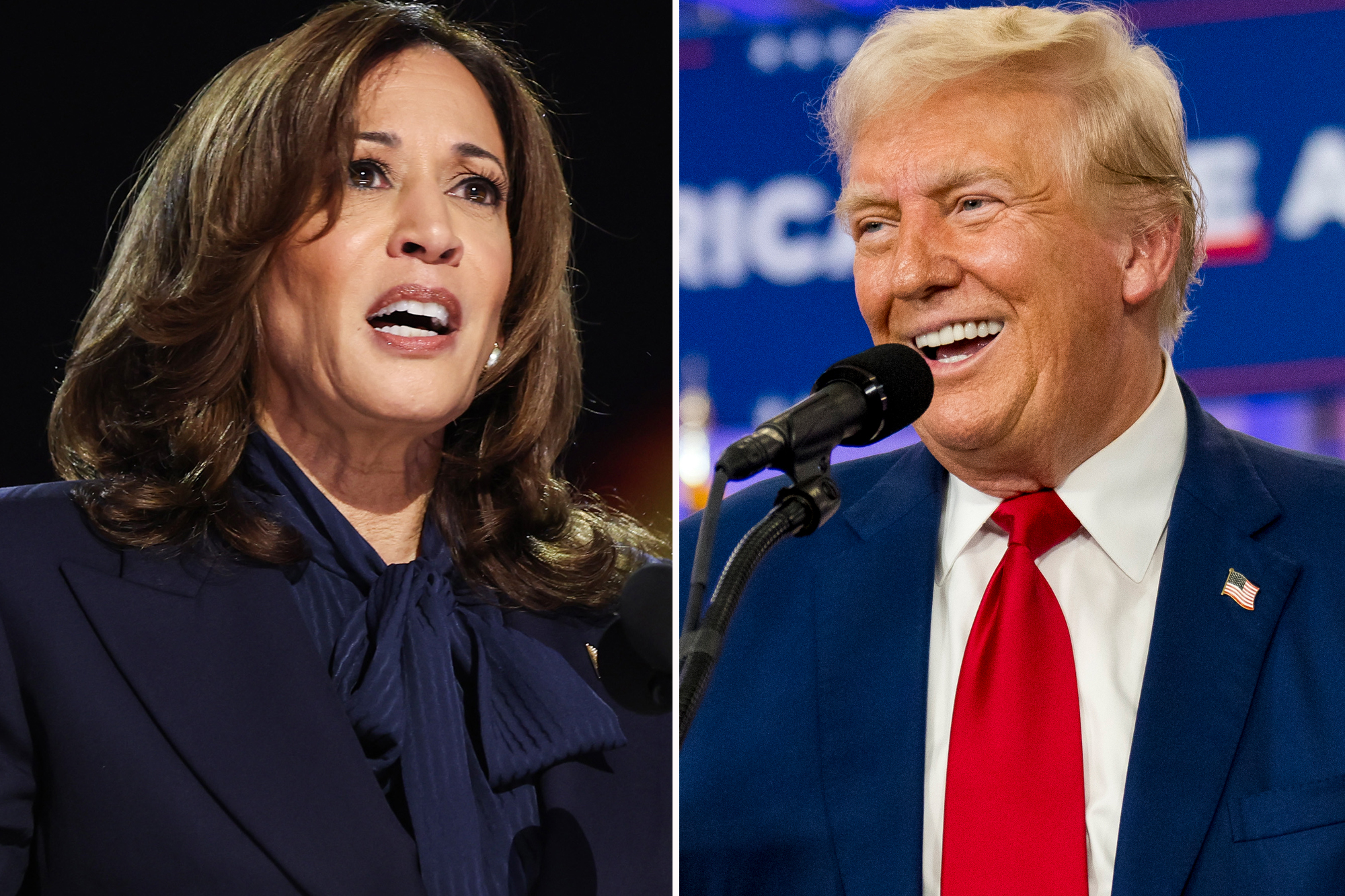 Poll: Harris holds edge over Trump in Michigan; voters still undecided