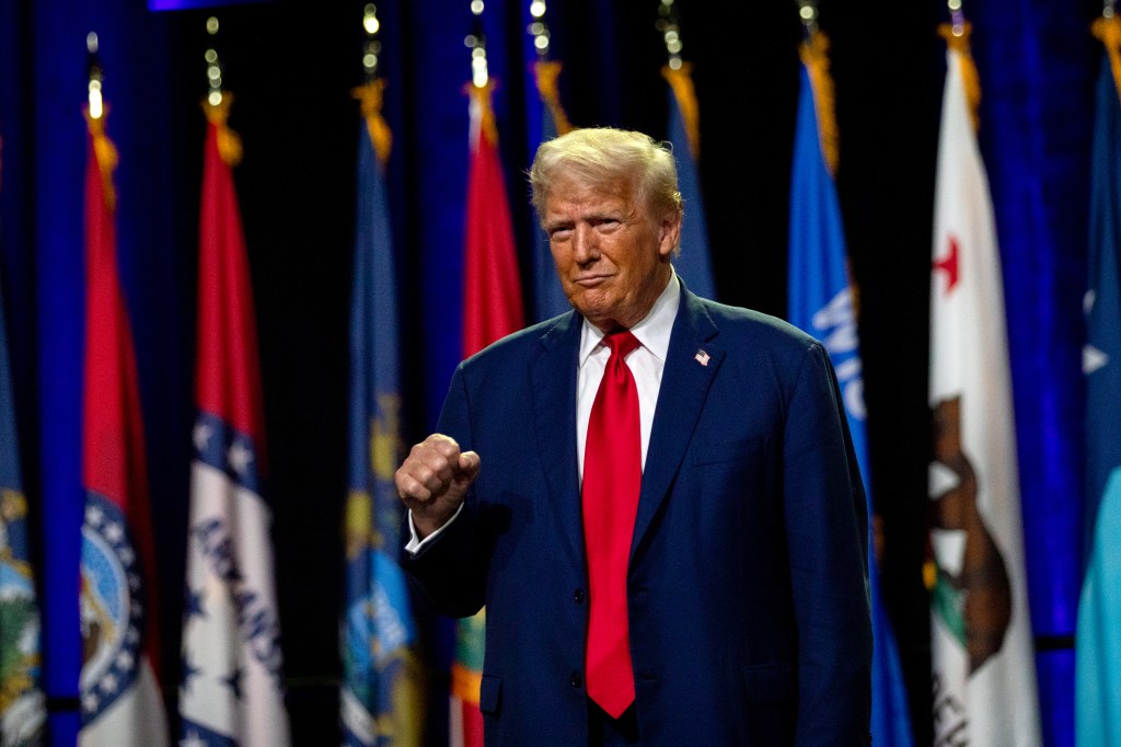 Trump marginally more popular than Harris in pivotal swing state North Carolina: poll