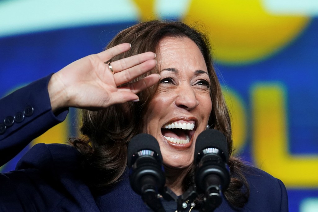 DNC virtual roll call kicks off to elect Kamala Harris as the sole candidate on ballot