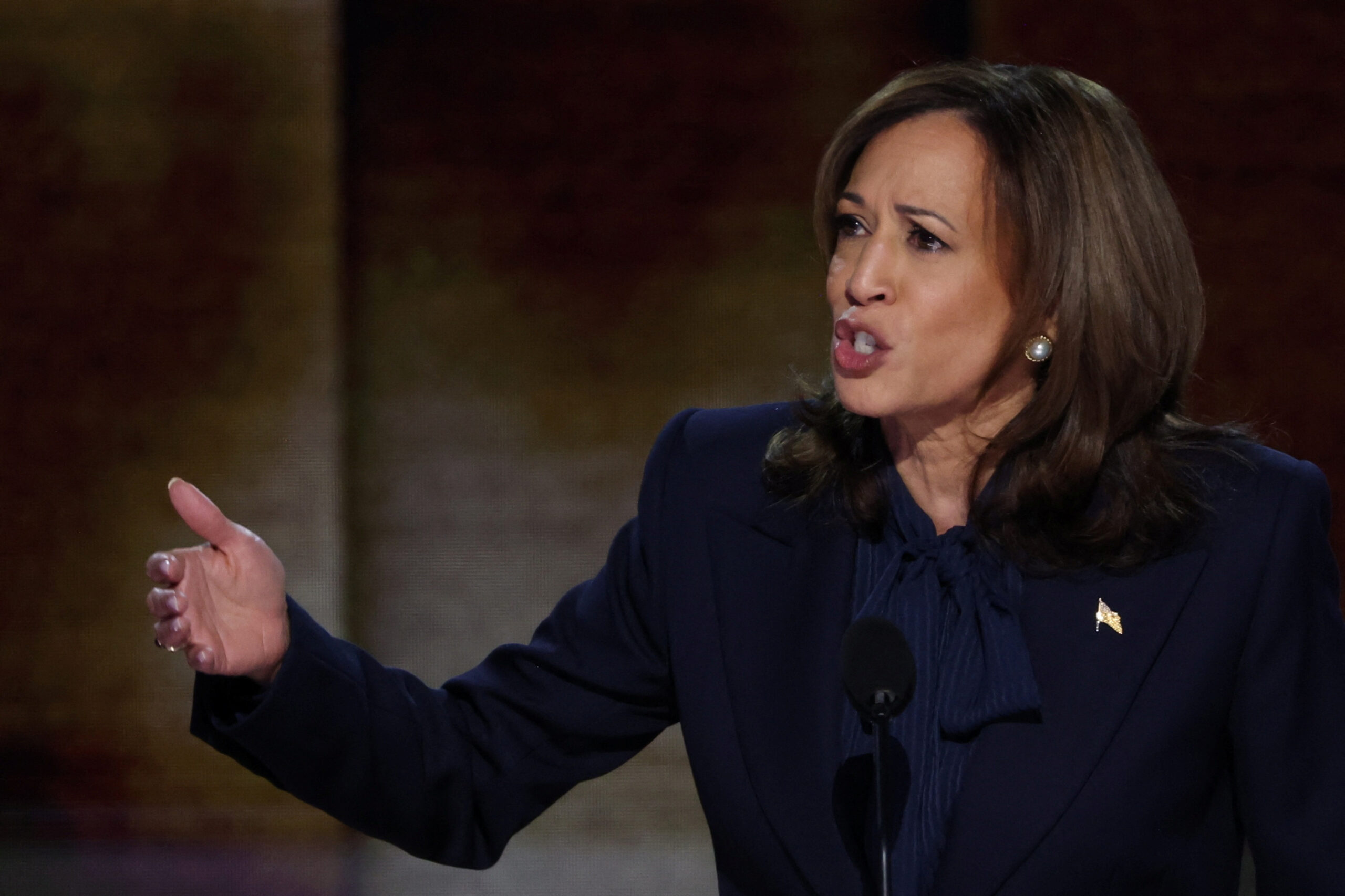 Dem pollster defends Harris for shunning media: ‘Don’t want her talking to you’