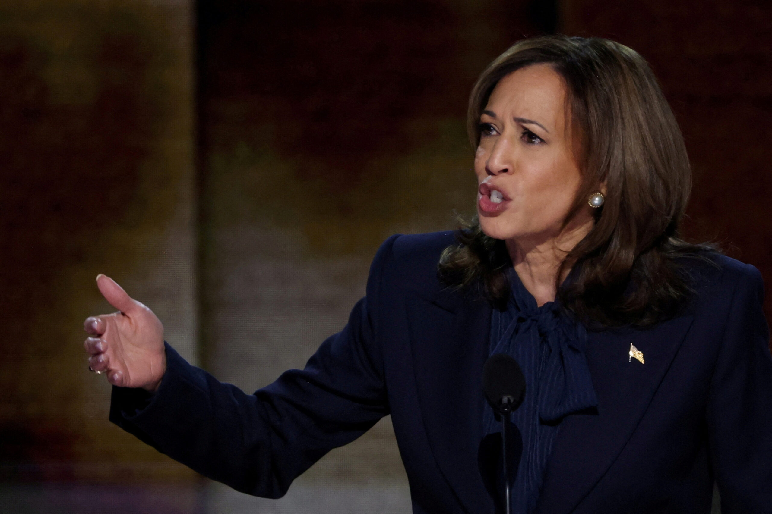 Majority polled strongly oppose noncitizens voting, blame Harris for border crisis