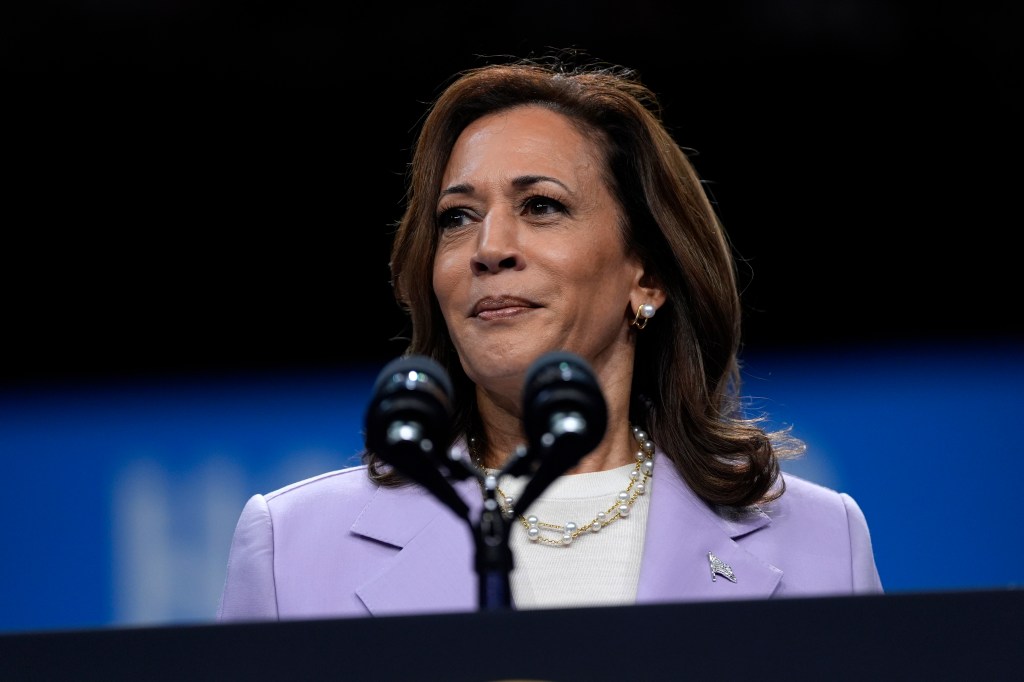 Trump pledges to abolish EPA rule on power plant emissions: ‘Kamala is on a regulatory jihad’  