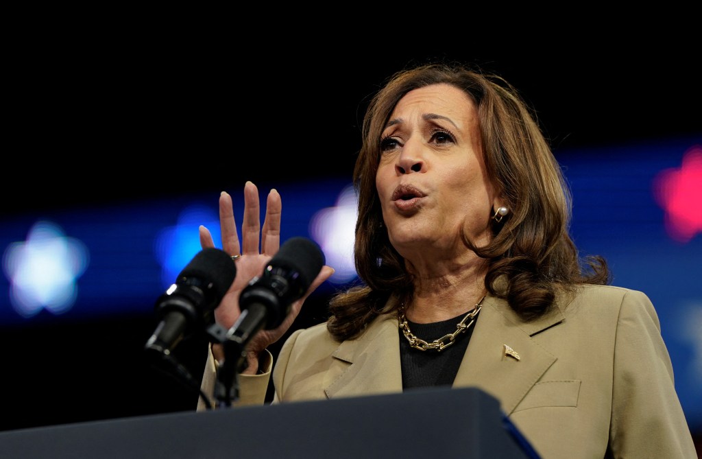 As migrants pour into United States — Harris ad promises border crackdown: ‘How dumb do they think we are?’