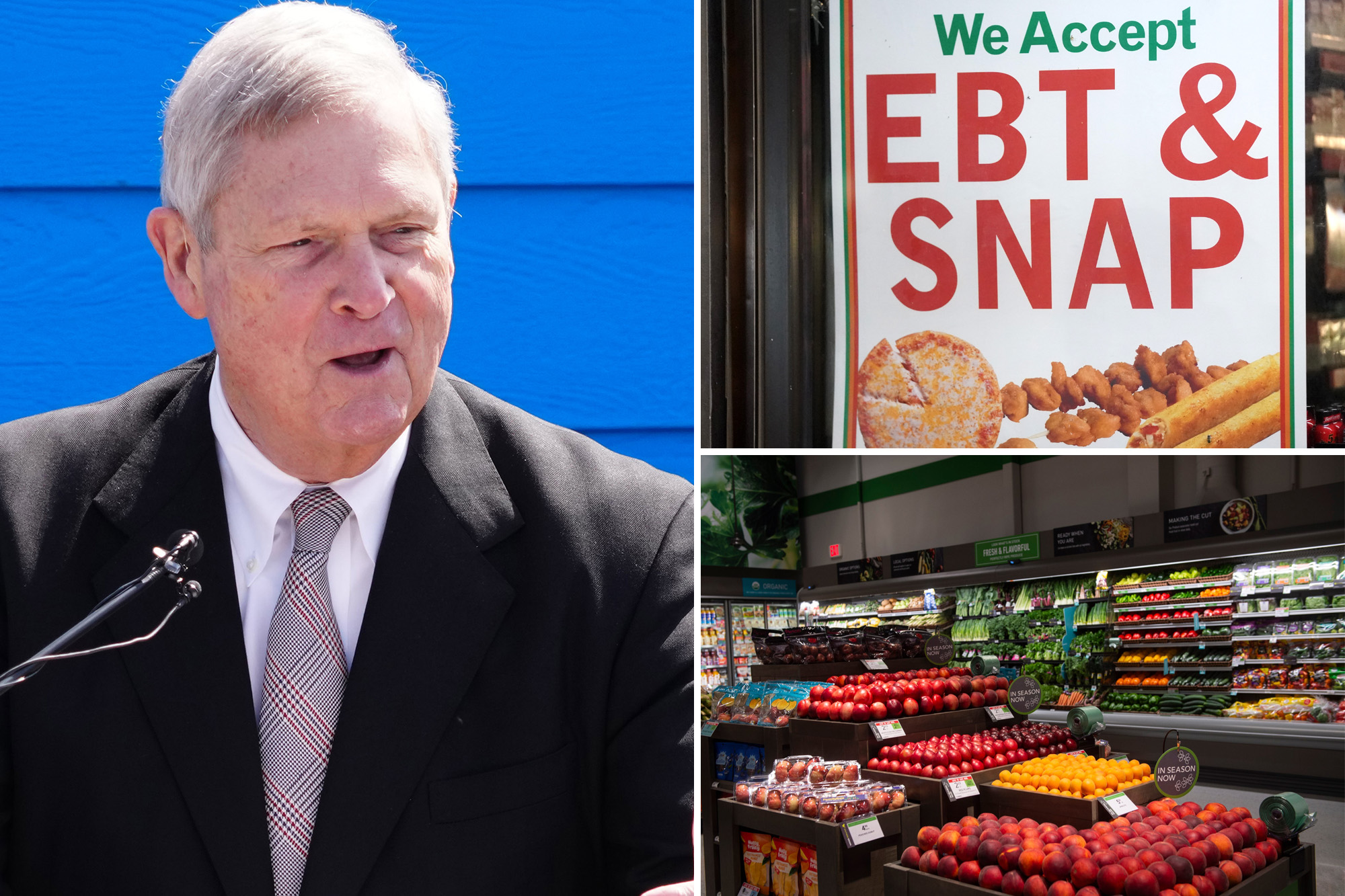 Washington spends about $3 billion a year on food stamps for noncitizens