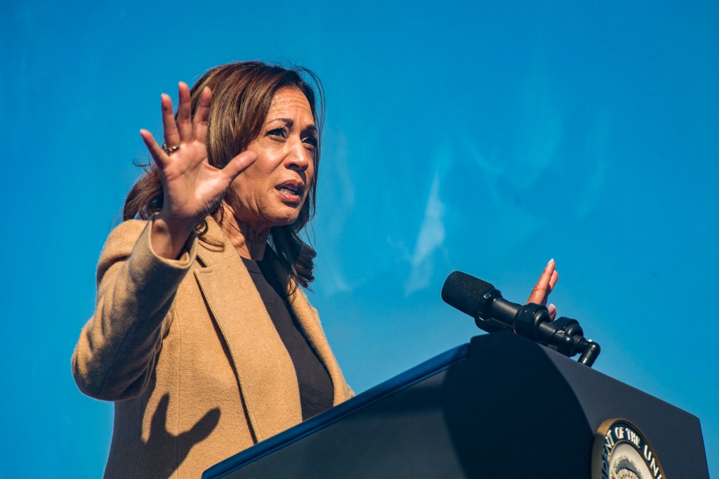 Kamala Harris finally publishes policy website after month into campaign — and it still lacks specifics, critics say