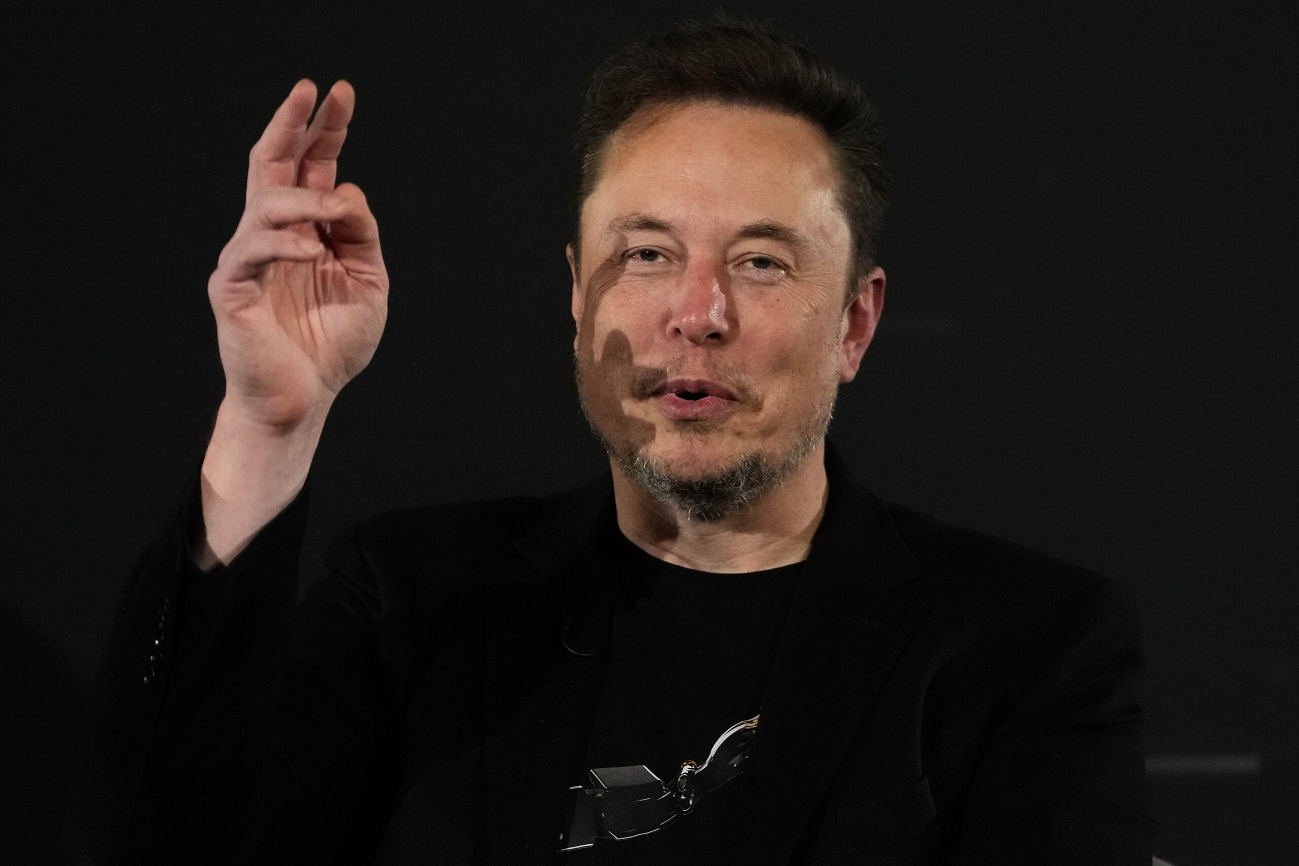 Elon Musk: Tech titan. Online troll. Government official?