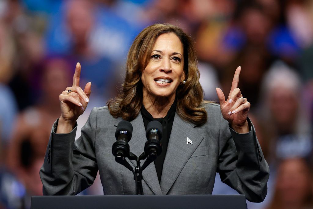 Kamala Harris outspending Donald Trump by $5 million each day: report