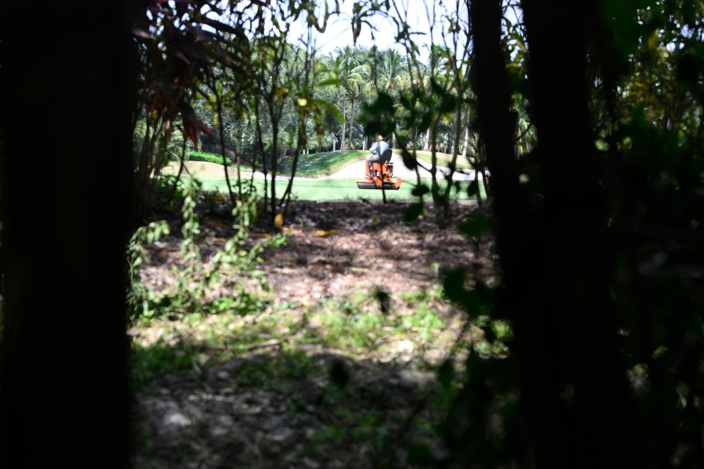 First photos show view Ryan Wesley Routh had from sniper’s nest at Trump Palm Beach golf course