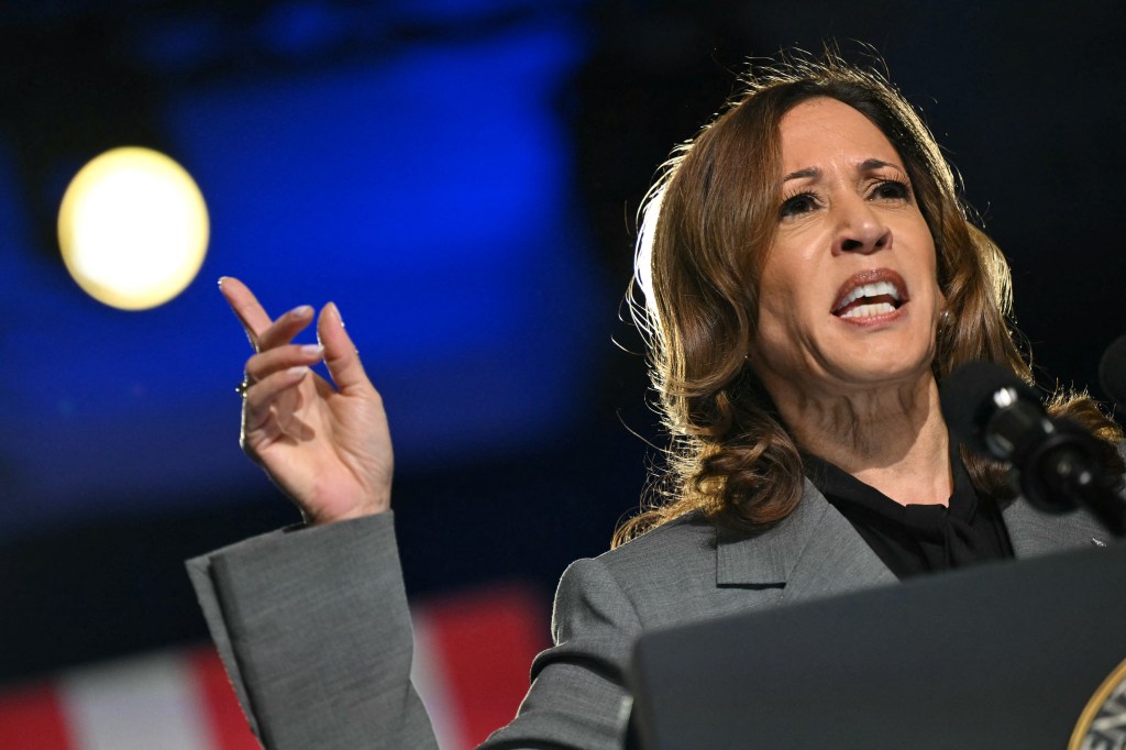 Kamala Harris uses debunked abortion death story to attack Trump, rally Dems in Georgia