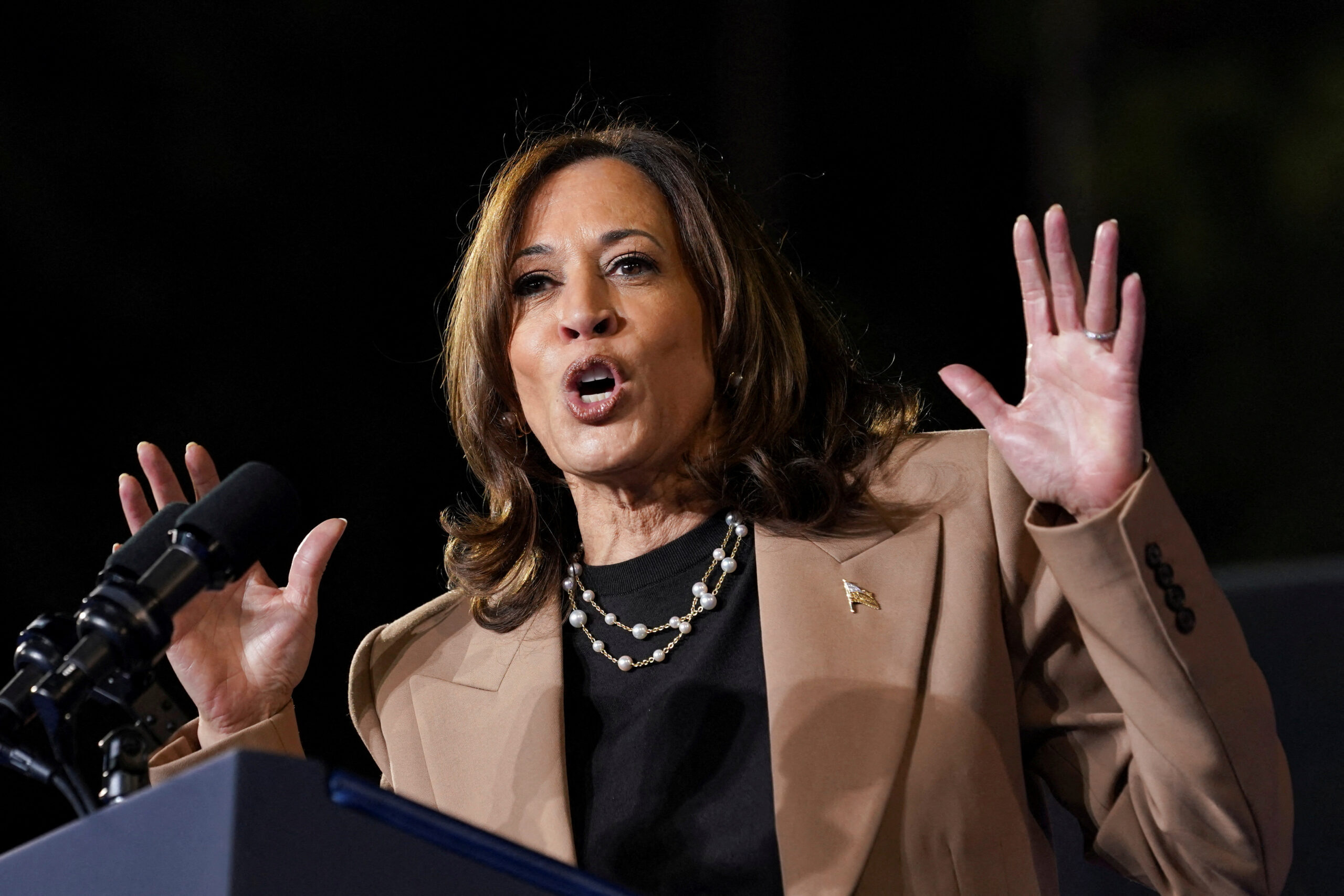 This Kamala Harris is a single mom who still doesn’t know who to vote for in 2024 election