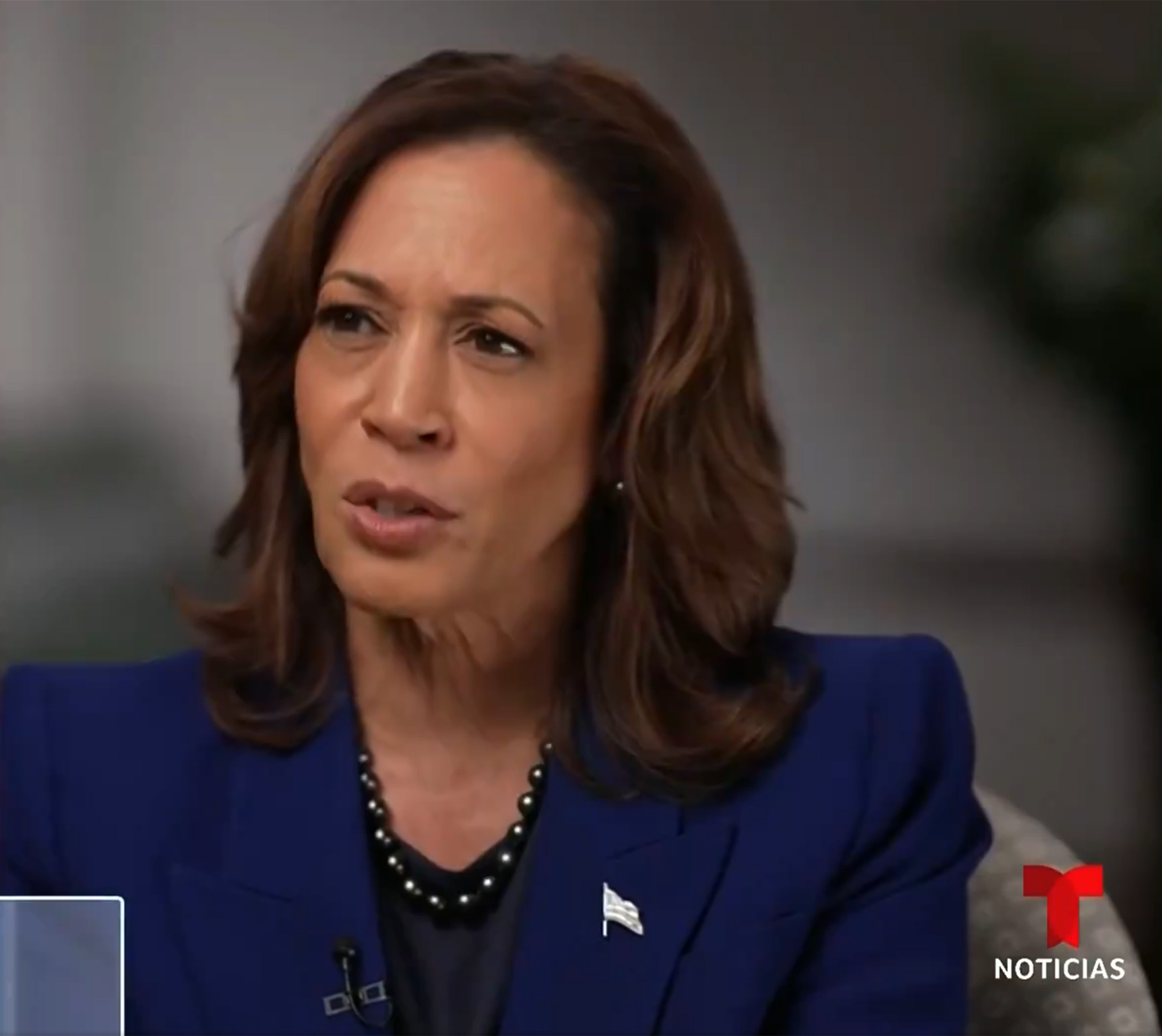 Kamala Harris is the ‘original defunder’ of the police and ‘lies’ about her time as a prosecutor: Ex-cops