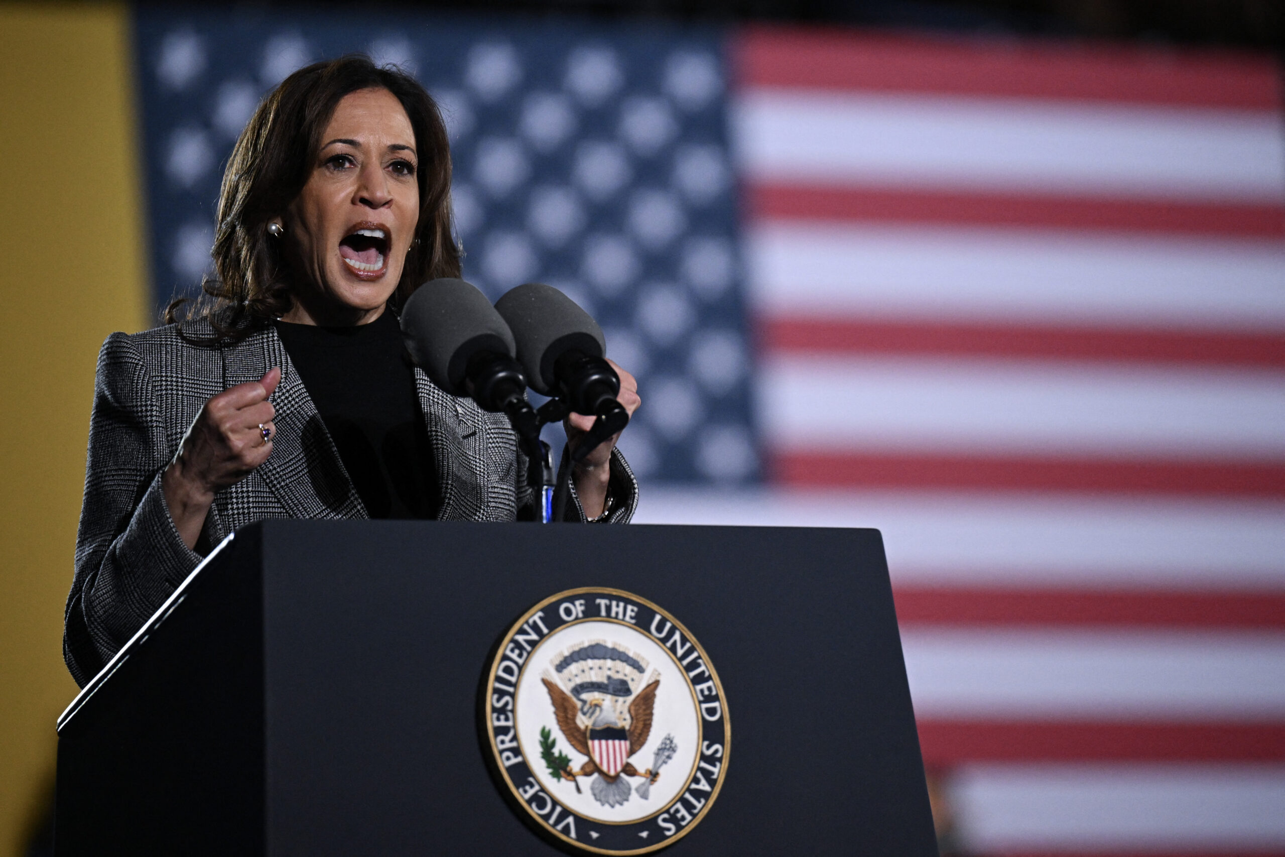 Kamala Harris to give ‘closing argument’ in remarks on DC’s Ellipse to kick off final week before election