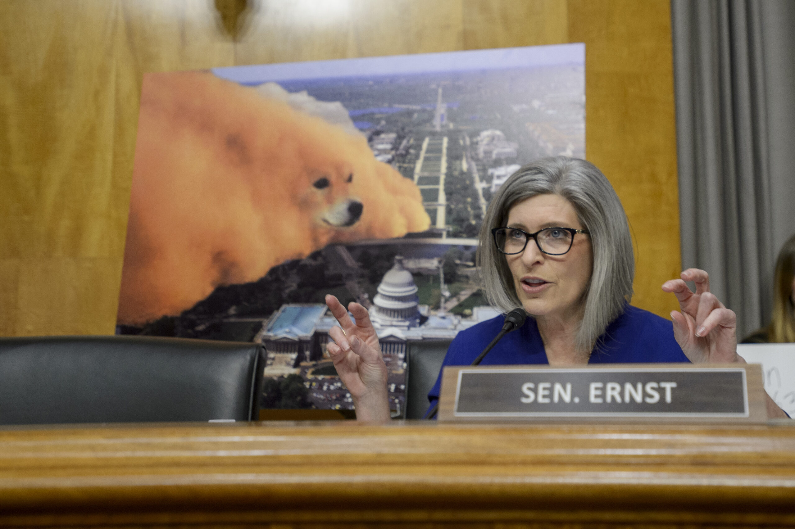 Senate DOGE caucus takes aim at $1.8B government fund for candy, comic books: ‘Purely propaganda’