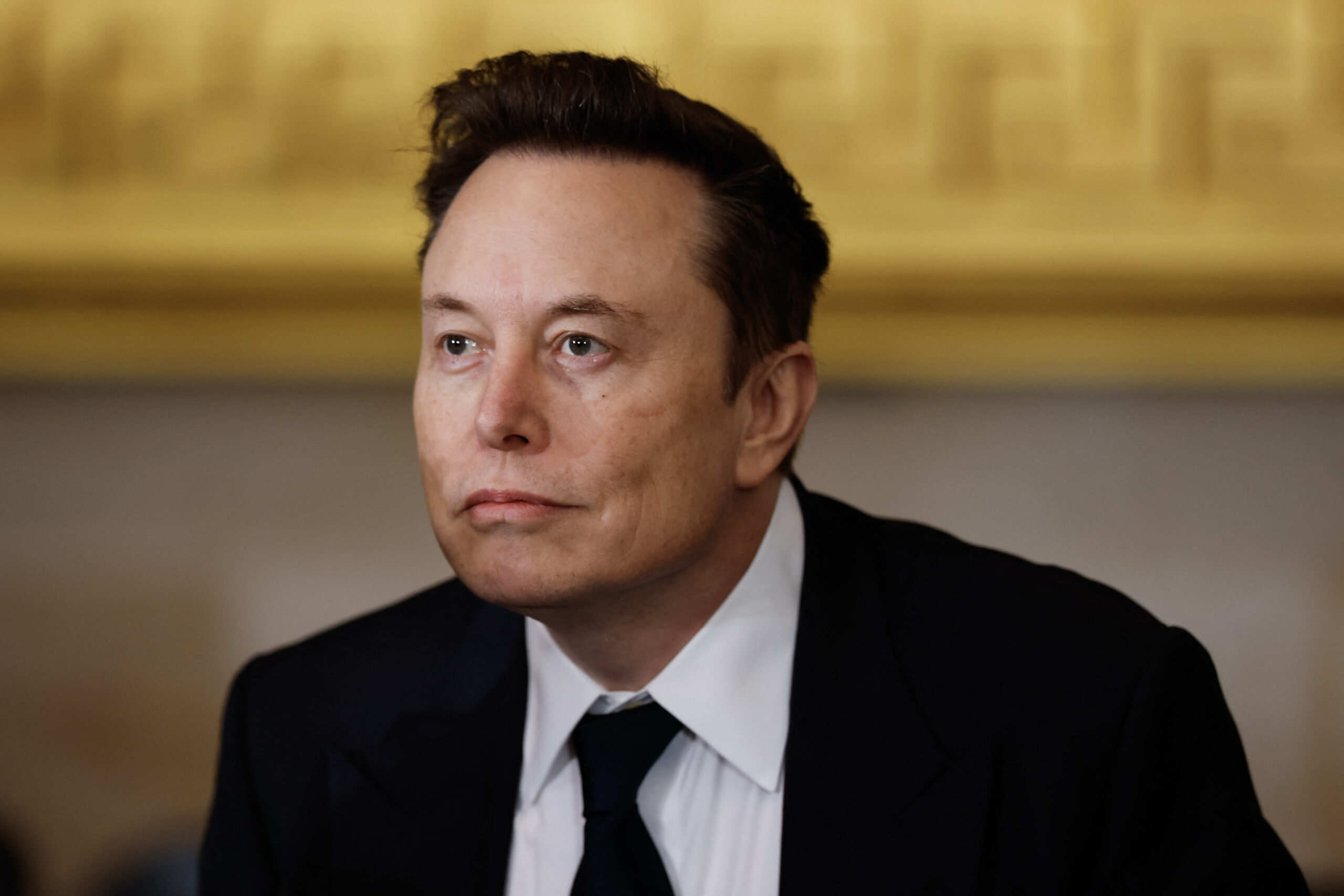 Elon Musk claims ‘far left’ tech team that helped build Elizabeth Warren’s tax website has been ‘deleted’